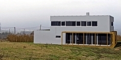 2007