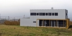 2007
