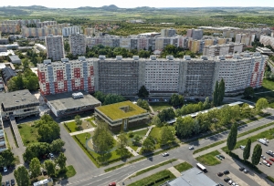 ortofoto